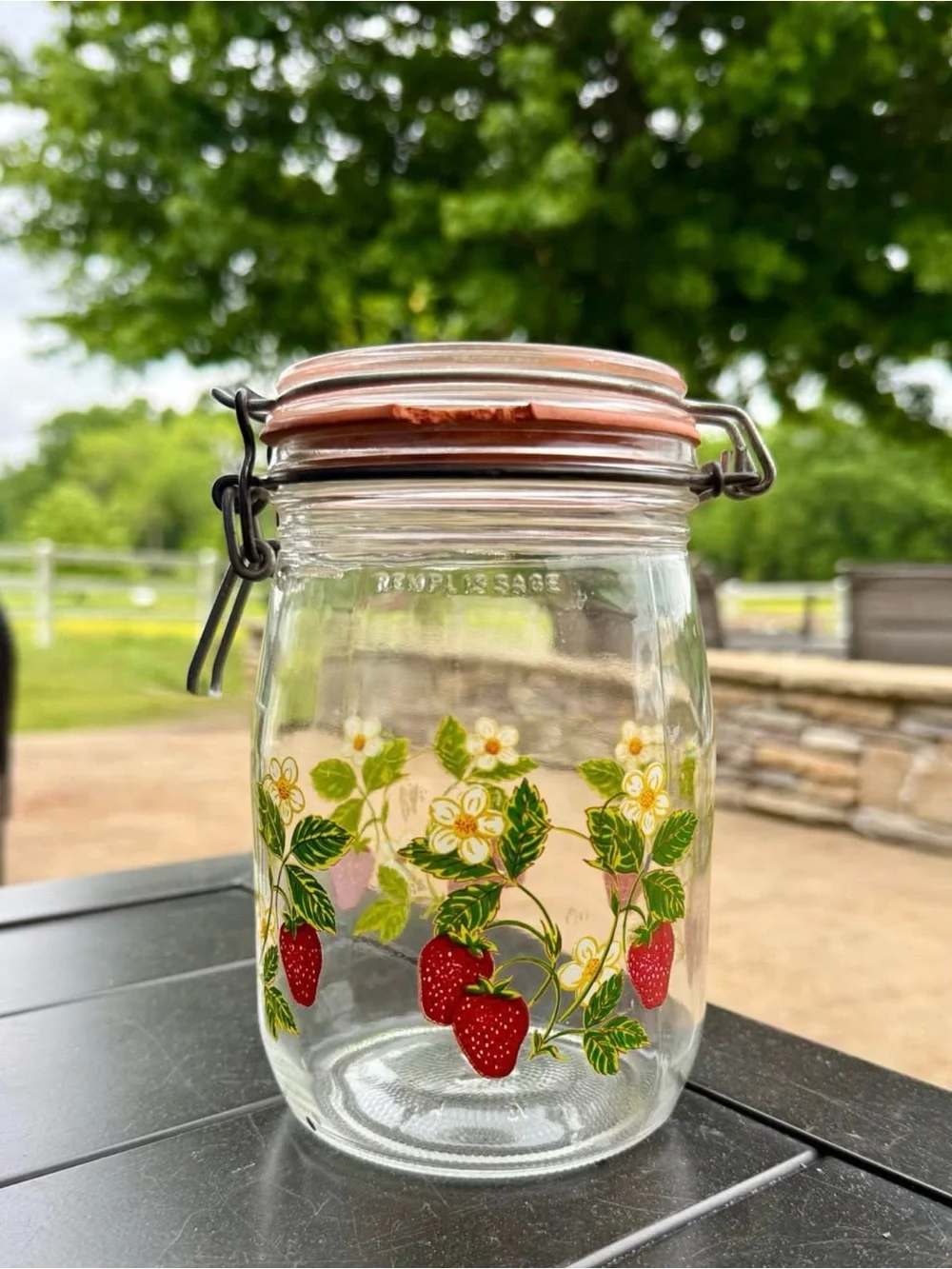 Strawberry Vintage ARC France glass canister from the 1970s- 1L